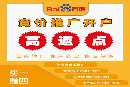 SEM运营公司案例解析：精准广告投放技巧